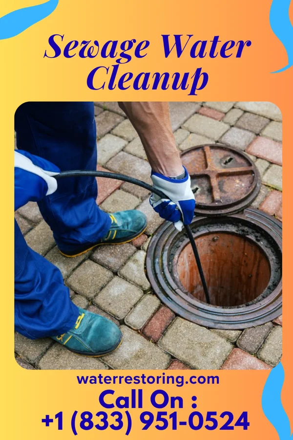 Sewage Water Cleanup in Danville, IN
