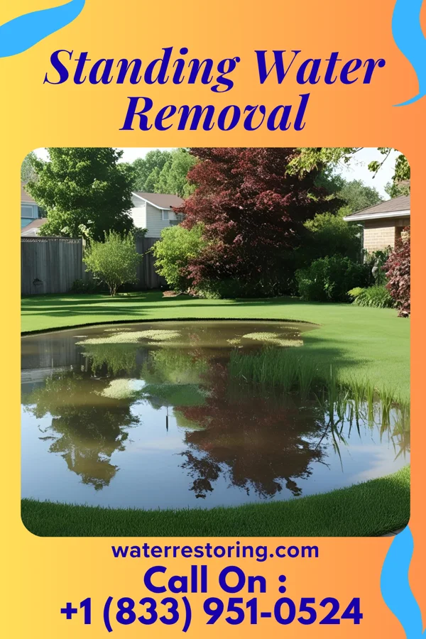 Standing Water Removal in Danville, IN
